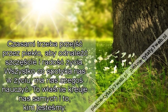 Czasami trzeba przejść przez piekło, aby odnaleźć szczęście i radość życia. Wszystko co spotyka nas w życiu, ma nas czegoś nauczyć. To właśnie kreuje nas samych i to, kim jesteśmy.