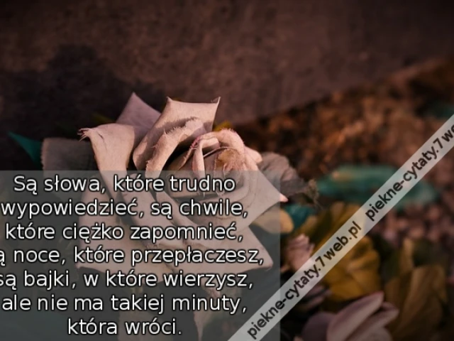 Są słowa , które trudno wypowiedzieć , są chwile , które ciężko zapomnieć , są noce , które przepłaczesz , są bajki , w które wierzysz , ale nie ma takiej minuty , która wróci.
