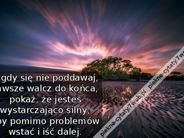 Nigdy się nie poddawaj, zawsze walcz do końca, pokaż, że jesteś wystarczająco silny, aby pomimo problemów wstać i iść dalej.