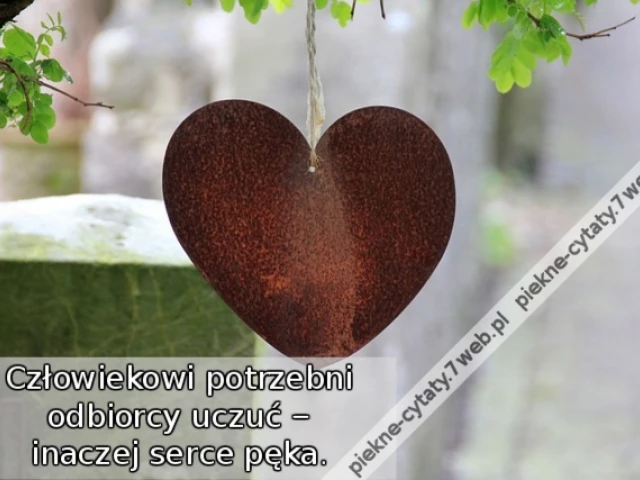 Człowiekowi potrzebni odbiorcy uczuć — inaczej serce pęka.