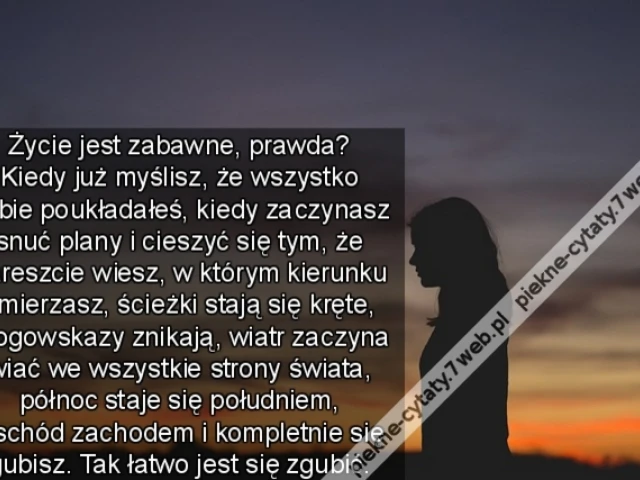 Życie jest zabawne, prawda? Kiedy już myślisz, że wszystko sobie poukładałeś, kiedy zaczynasz snuć plany i cieszyć się tym, że nareszcie wiesz, w którym kierunku zmierzasz, ścieżki stają się kręte, drogowskazy znikają, wiatr zaczyna wiać we wszystkie stro