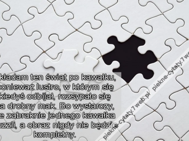 Składam ten świat po kawałku, ponieważ lustro, w którym się kiedyś odbijał, rozsypało się na drobny mak. Bo wystarczy, że zabraknie jednego kawałka puzzli, a obraz nigdy nie będzie kompletny.
