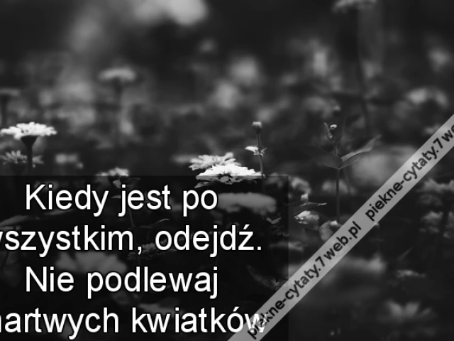 Kiedy jest po wszystkim, odejdź. Nie podlewaj martwych kwiatków