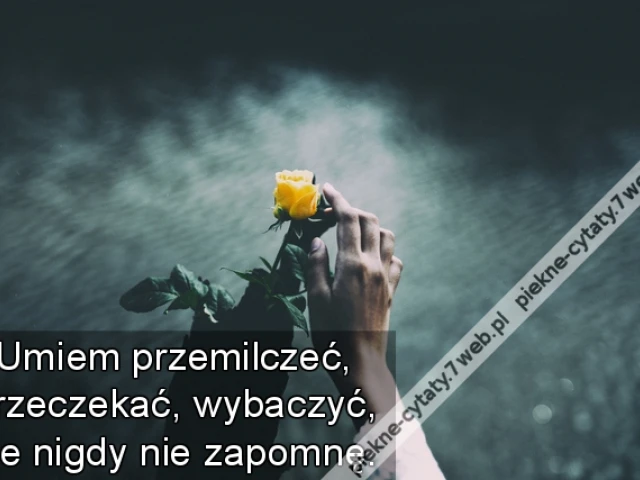 Umiem przemilczeć, przeczekać, wybaczyć, ale nigdy nie zapomnę.