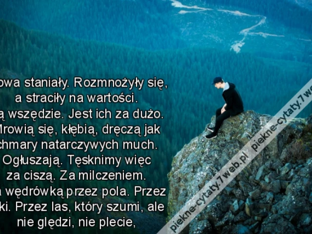 Słowa staniały. Rozmnożyły się, a straciły na wartości. Są wszędzie. Jest ich za dużo. Mrowią się, kłębią, dręczą jak chmary natarczywych much. Ogłuszają. Tęsknimy więc za ciszą. Za milczeniem. Za wędrówką przez pola. Przez łąki. Przez las, który szumi, a