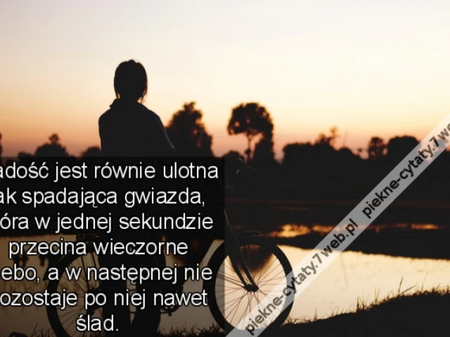 Radość jest równie ulotna jak spadająca gwiazda, która w jednej sekundzie przecina wieczorne niebo, a w następnej nie pozostaje po niej nawet ślad.