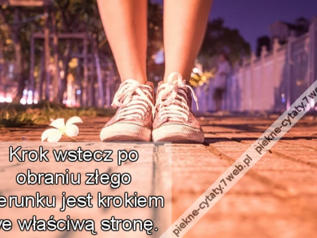 Krok wstecz po obraniu złego kierunku jest krokiem we właściwą stronę.
