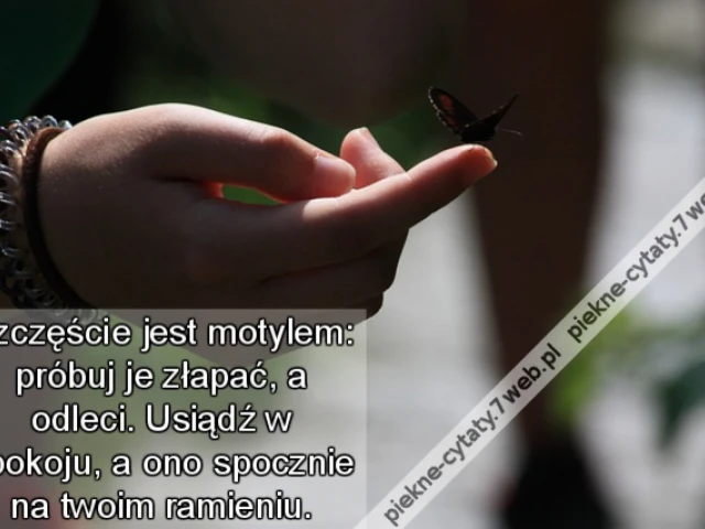 Szczęście jest motylem: próbuj je złapać, a odleci. Usiądź w spokoju, a ono spocznie na twoim ramieniu.