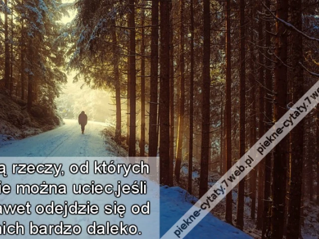 Są rzeczy, od których nie można uciec,jeśli nawet odejdzie się od nich bardzo daleko.