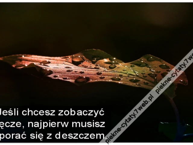 Jeśli chcesz zobaczyć tęcze, najpierw musisz uporać się z deszczem.
