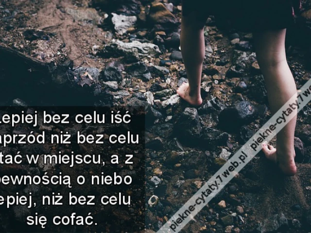 Lepiej bez celu iść naprzód niż bez celu stać w miejscu, a z pewnością o niebo lepiej, niż bez celu się cofać.