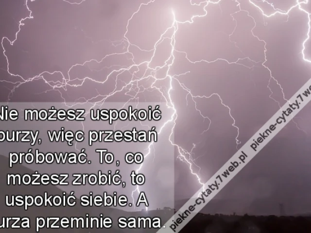 Nie możesz uspokoić burzy, więc przestań próbować. To, co możesz zrobić, to uspokoić siebie. A burza przeminie sama.