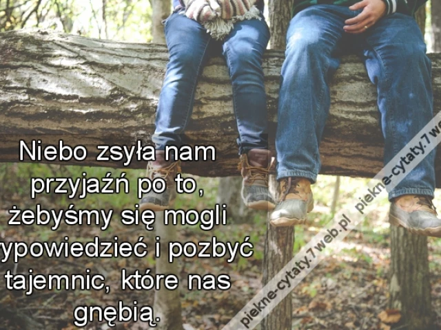 Niebo zsyła nam przyjaźń po to, żebyśmy się mogli wypowiedzieć i pozbyć tajemnic, które nas gnębią.
