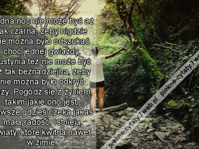 Żadna noc nie może być aż tak czarna, żeby nigdzie nie można było odszukać choć jednej gwiazdy. Pustynia też nie może być aż tak beznadziejna, żeby nie można było odkryć oazy. Pogódź się z życiem, takim jakie ono jest. Zawsze gdzieś czeka jakaś mała radoś