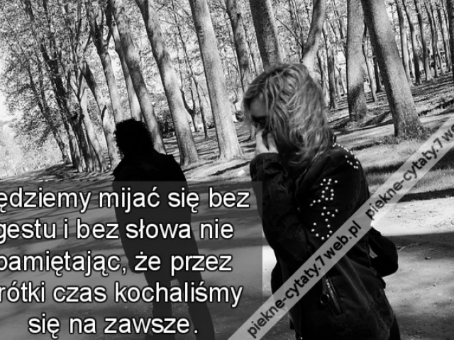 Będziemy mijać się bez gestu i bez słowa nie pamiętając, że przez krótki czas kochaliśmy się na zawsze.