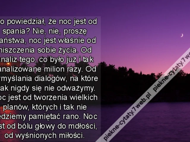 Kto powiedział, że noc jest od spania? Nie, nie, proszę Państwa, noc jest właśnie od niszczenia sobie życia. Od analiz tego, co było już i tak zanalizowane milion razy. Od wymyślania dialogów, na które i tak nigdy się nie odważymy. Noc jest od tworzenia w