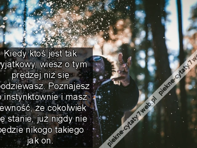 Kiedy ktoś jest tak wyjątkowy, wiesz o tym prędzej niż się spodziewasz. Poznajesz to instynktownie i masz pewność, że cokolwiek się stanie, już nigdy nie będzie nikogo takiego jak on.
