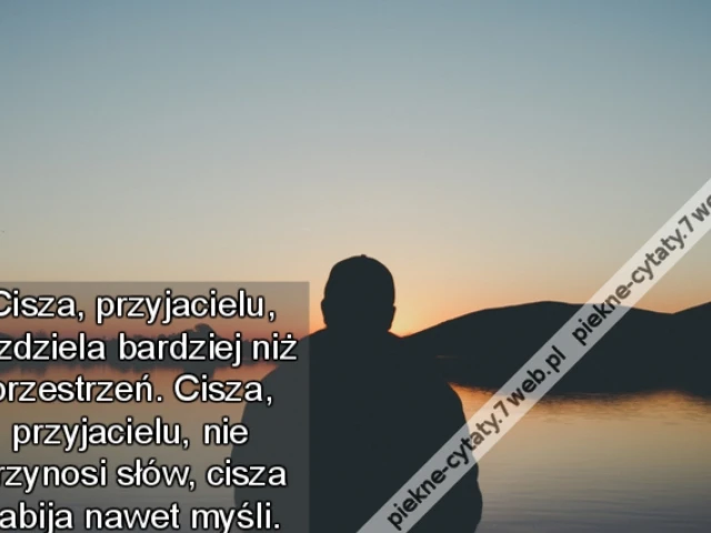 Cisza, przyjacielu, rozdziela bardziej niż przestrzeń. Cisza, przyjacielu, nie przynosi słów, cisza zabija nawet myśli.