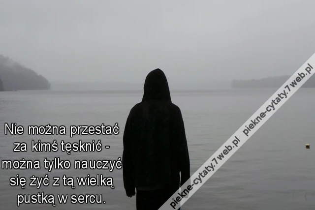 Nie można przestać za kimś tęsknić - można tylko nauczyć się żyć z tą wielką pustką w sercu.