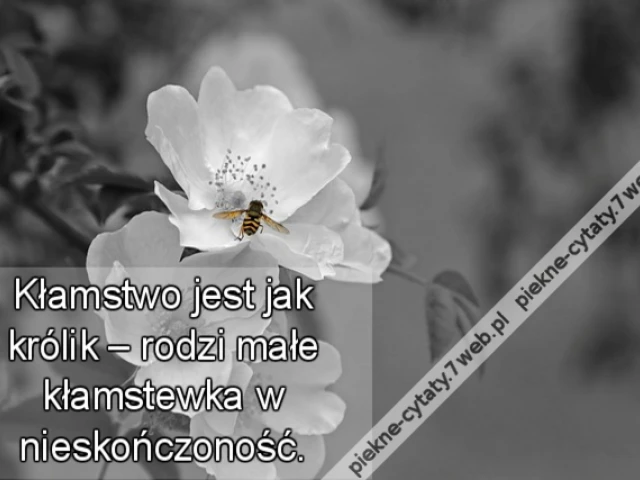 Kłamstwo jest jak królik – rodzi małe kłamstewka w nieskończoność.