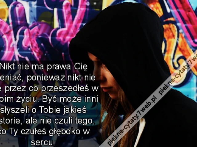 Nikt nie ma prawa Cię oceniać, ponieważ nikt nie wie przez co przeszedłeś w swoim życiu. Być może inni słyszeli o Tobie jakieś historie, ale nie czuli tego, co Ty czułeś głęboko w sercu.