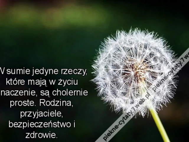 W sumie jedyne rzeczy, które mają w życiu znaczenie, są cholernie proste. Rodzina, przyjaciele, bezpieczeństwo i zdrowie.