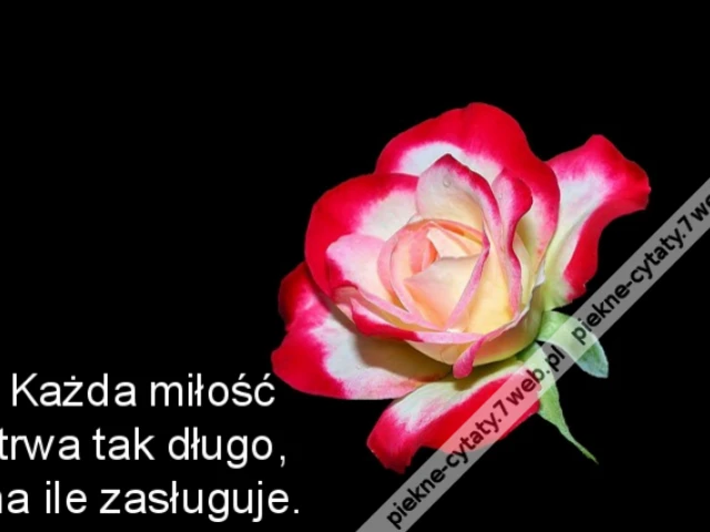 Każda miłość trwa tak długo, na ile zasługuje.