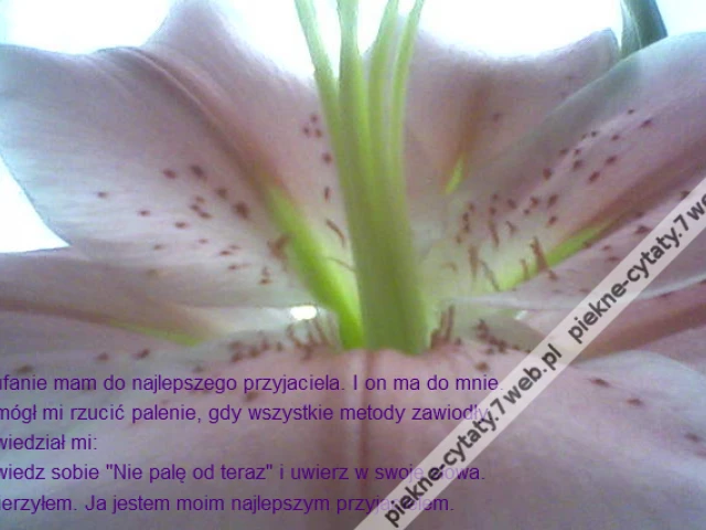 Zaufanie mam do najlepszego przyjaciela. I on ma do mnie.\r\nPomógł mi rzucić palenie, gdy wszystkie metody zawiodły.\r\nPowiedział mi: \r\nPowiedz sobie "Nie palę od teraz" i uwierz w swoje słowa.\r\nUwierzyłem. Ja jestem moim najlepszym przyjacielem.