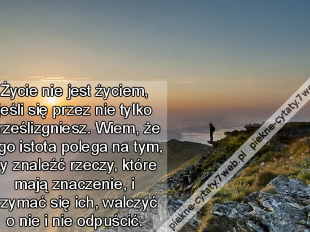 Życie nie jest życiem, jeśli się przez nie tylko prześlizgniesz. Wiem, że jego istota polega na tym, by znaleźć rzeczy, które mają znaczenie, i trzymać się ich, walczyć o nie i nie odpuścić.