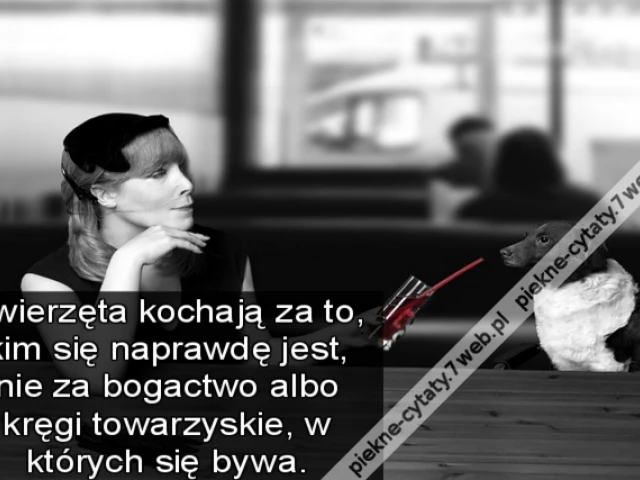 Zwierzęta kochają za to, kim się naprawdę jest, nie za bogactwo albo kręgi towarzyskie, w których się bywa.