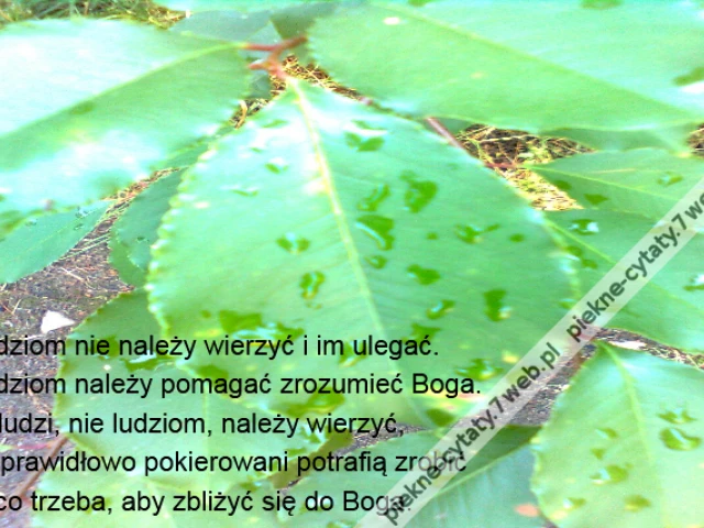 Ludziom nie należy wierzyć i im ulegać. \r\nLudziom należy pomagać zrozumieć Boga. \r\nW ludzi, nie ludziom, należy wierzyć, \r\nże prawidłowo pokierowani potrafią zrobić \r\nto co trzeba, aby zbliżyć się do Boga.