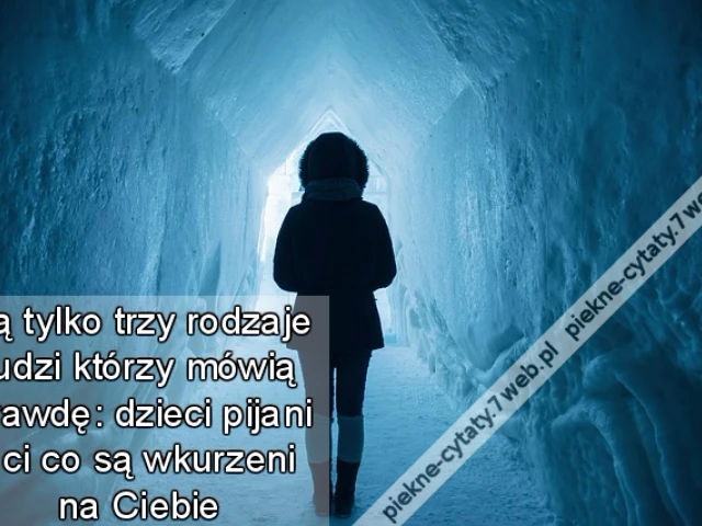 Są tylko trzy rodzaje ludzi którzy mówią prawdę: dzieci pijani i ci co są wkurzeni na Ciebie