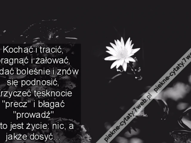 Kochać i tracić, pragnąć i żałować, Padać boleśnie i znów się podnosić, Krzyczeć tęsknocie "precz" i błagać "prowadź" Oto jest życie: nic, a jakże dosyć...