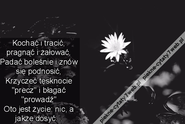 Kochać i tracić, pragnąć i żałować, Padać boleśnie i znów się podnosić, Krzyczeć tęsknocie "precz" i błagać "prowadź" Oto jest życie: nic, a jakże dosyć...