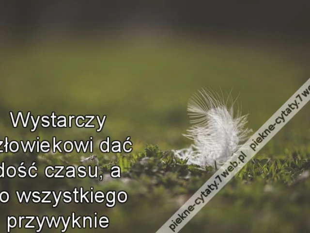 Wystarczy człowiekowi dać dość czasu, a do wszystkiego przywyknie