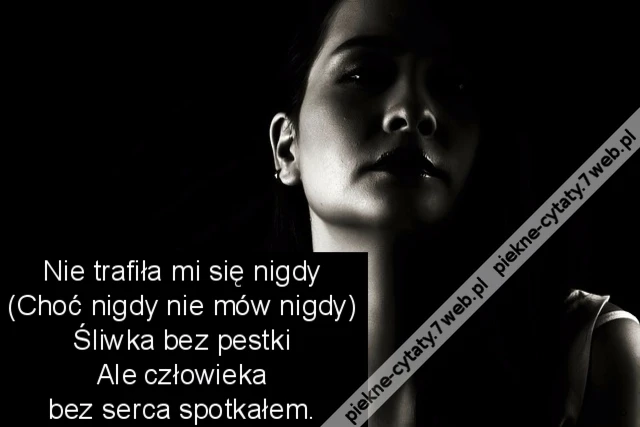 Nie trafiła mi się nigdy (Choć nigdy nie mów nigdy) Śliwka bez pestki Ale człowieka Bez serca spotkałem.