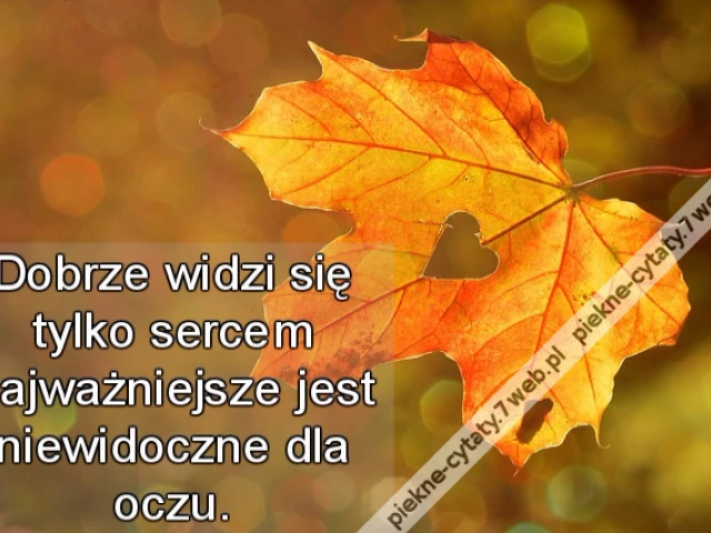 Dobrze widzi się tylko sercem najważniejsze jest niewidoczne dla oczu.