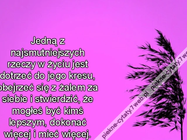 Jedną z najsmutniejszych rzeczy w życiu jest dotrzeć do jego kresu, obejrzeć się z żalem za siebie i stwierdzić, że mogłeś być kimś lepszym, dokonać więcej i mieć więcej.