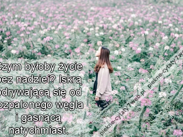 Czym byłoby życie bez nadziei? Iskrą odrywającą się od rozpalonego węgla i gasnącą natychmiast.
