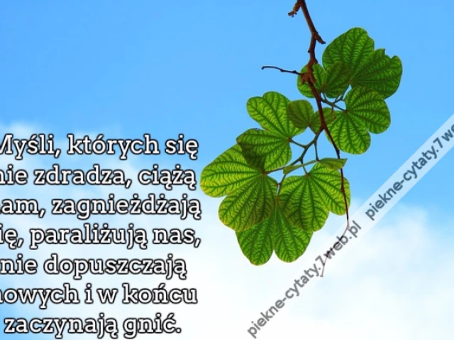Myśli, których się nie zdradza, ciążą nam, zagnieżdżają się, paraliżują nas, nie dopuszczają nowych i w końcu zaczynają gnić.