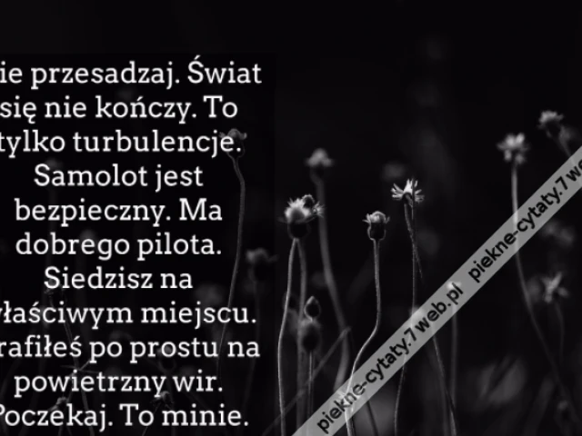 Nie przesadzaj. Świat się nie kończy. To tylko turbulencje. Samolot jest bezpieczny. Ma dobrego pilota. Siedzisz na właściwym miejscu. Trafiłeś po prostu na powietrzny wir. Poczekaj. To minie.