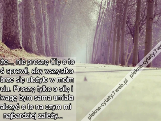 Boże... nie proszę Cię o to byś sprawił, aby wszystko dobrze się ułożyło w moim życiu. Proszę tylko o siłę i odwagę bym sama umiała walczyć o to na czym mi najbardziej zależy...