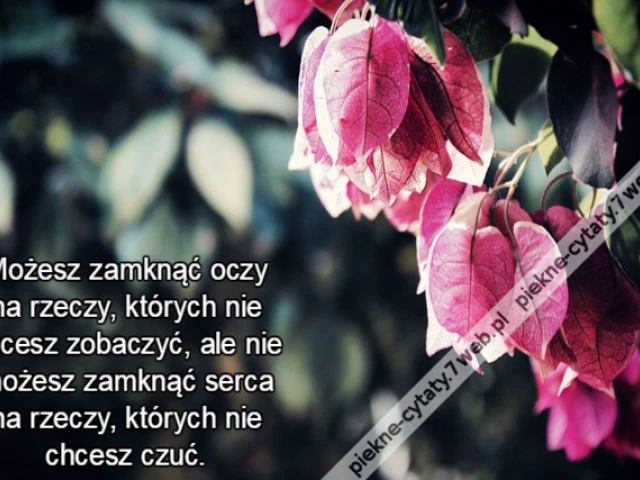 Możesz zamknąć oczy na rzeczy, których nie chcesz zobaczyć, ale nie możesz zamknąć serca na rzeczy, których nie chcesz czuć.