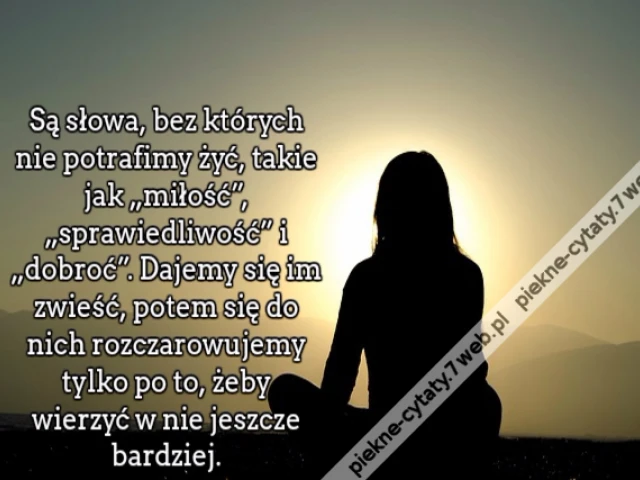 Są słowa, bez których nie potrafimy żyć, takie jak „miłość”, „sprawiedliwość” i „dobroć”. Dajemy się im zwieść, potem się do nich rozczarowujemy tylko po to, żeby wierzyć w nie jeszcze bardziej.