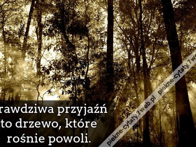 Prawdziwa przyjaźń to drzewo, które rośnie powoli.