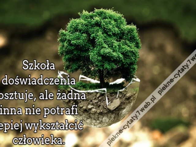Szkoła doświadczenia kosztuje, ale żadna inna nie potrafi lepiej wykształcić człowieka.