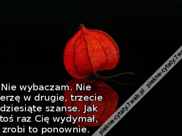 Nie wybaczam. Nie wierzę w drugie, trzecie i dziesiąte szanse. Jak ktoś raz Cię wydymał, zrobi to ponownie.
