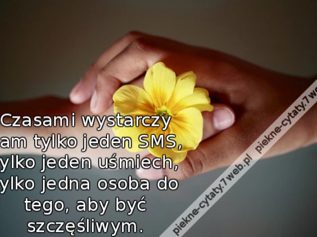 Czasami wystarczy nam tylko jeden SMS , tylko jeden uśmiech , tylko jedna osoba do tego , aby być szczęśliwym .