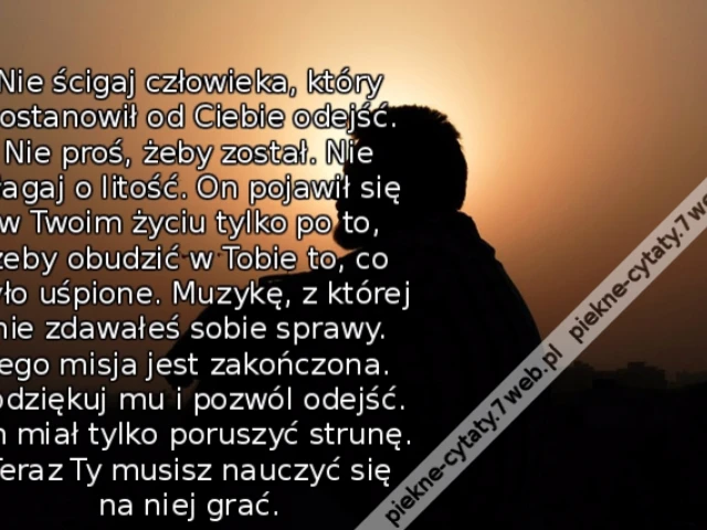 Nie ścigaj człowieka, który postanowił od Ciebie odejść. Nie proś, żeby został. Nie błagaj o litość. On pojawił się w Twoim życiu tylko po to, żeby obudzić w Tobie to, co było uśpione. Muzykę, z której nie zdawałeś sobie sprawy. Jego misja jest zakończona