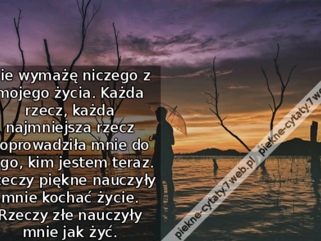 Nie wymażę niczego z mojego życia. Każda rzecz, każda najmniejsza rzecz doprowadziła mnie do tego, kim jestem teraz. Rzeczy piękne nauczyły mnie kochać życie. Rzeczy złe nauczyły mnie jak żyć.